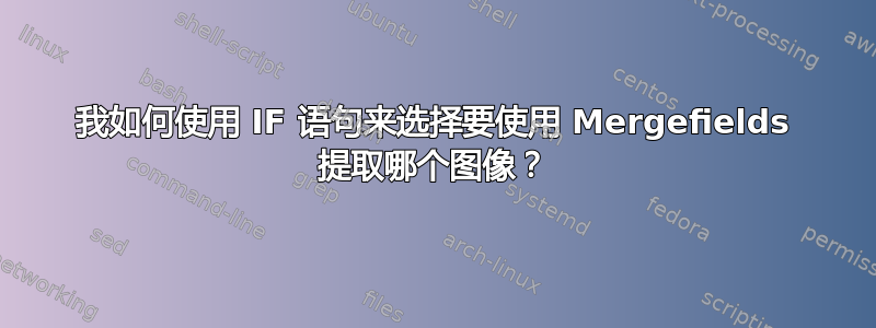 我如何使用 IF 语句来选择要使用 Mergefields 提取哪个图像？