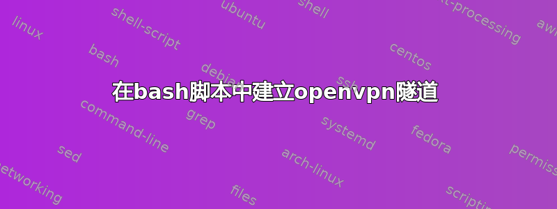 在bash脚本中建立openvpn隧道