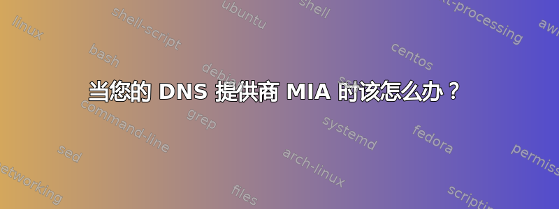 当您的 DNS 提供商 MIA 时该怎么办？