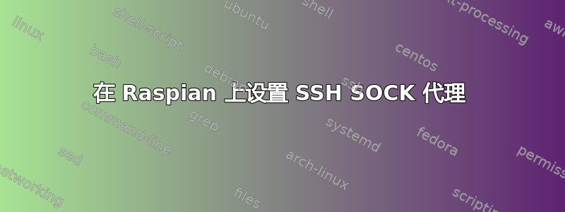 在 Raspian 上设置 SSH SOCK 代理