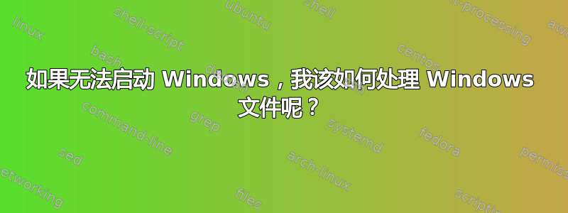 如果无法启动 Windows，我该如何处理 Windows 文件呢？