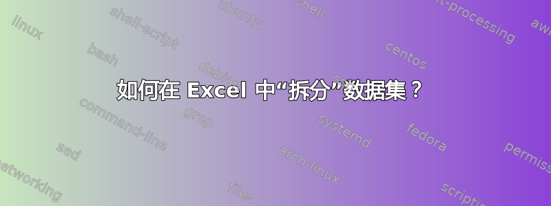 如何在 Excel 中“拆分”数据集？