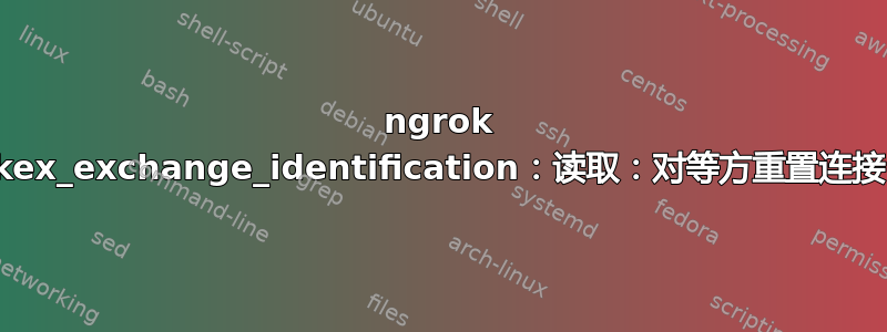 ngrok kex_exchange_identification：读取：对等方重置连接