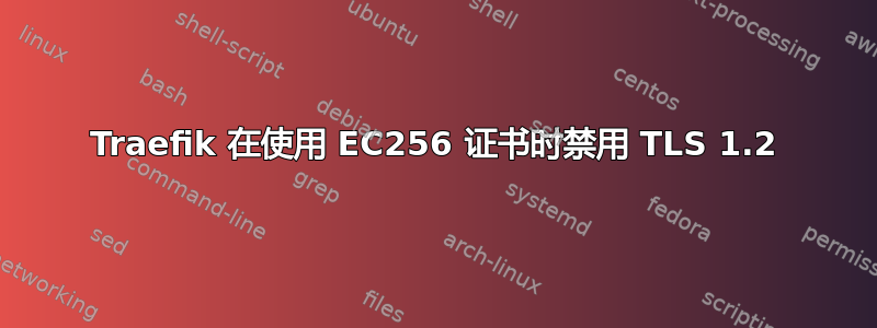 Traefik 在使用 EC256 证书时禁用 TLS 1.2