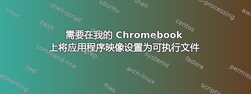 需要在我的 Chromebook 上将应用程序映像设置为可执行文件