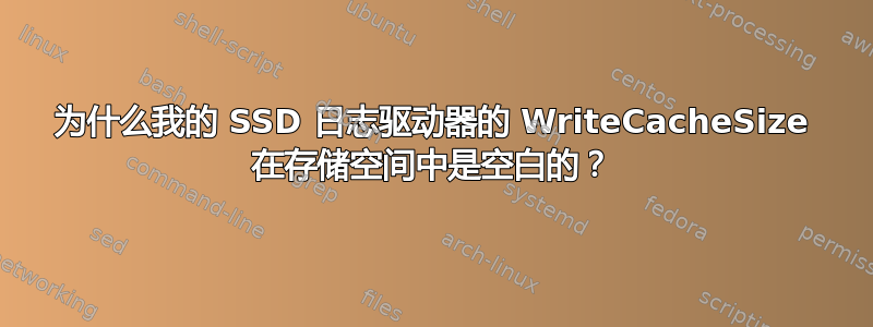 为什么我的 SSD 日志驱动器的 WriteCacheSize 在存储空间中是空白的？