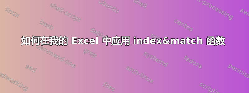 如何在我的 Excel 中应用 index&match 函数