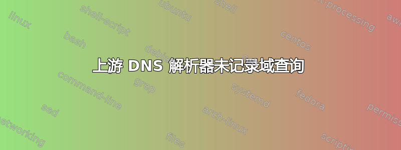 上游 DNS 解析器未记录域查询