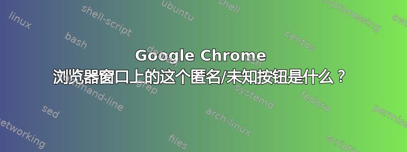 Google Chrome 浏览器窗口上的这个匿名/未知按钮是什么？