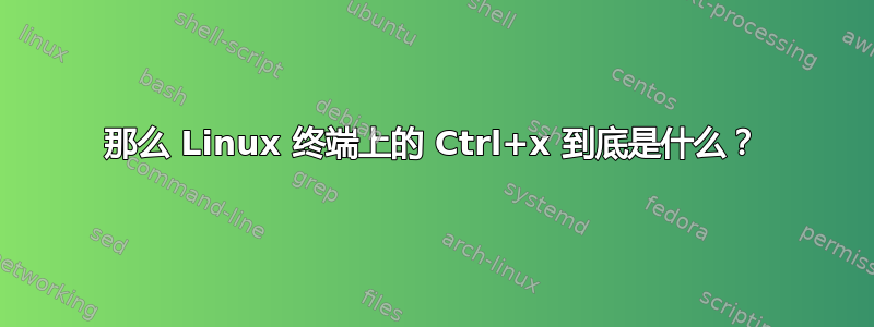 那么 Linux 终端上的 Ctrl+x 到底是什么？