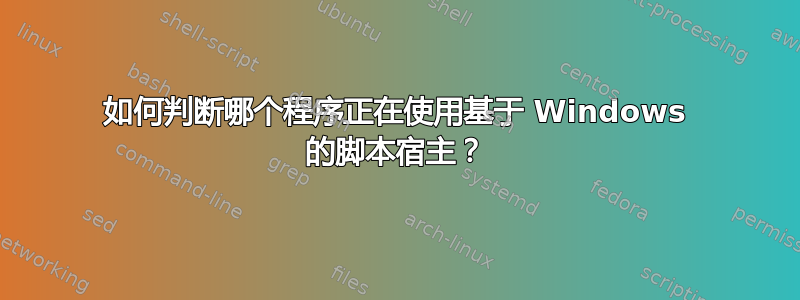 如何判断哪个程序正在使用基于 Windows 的脚本宿主？