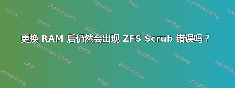 更换 RAM 后仍然会出现 ZFS Scrub 错误吗？