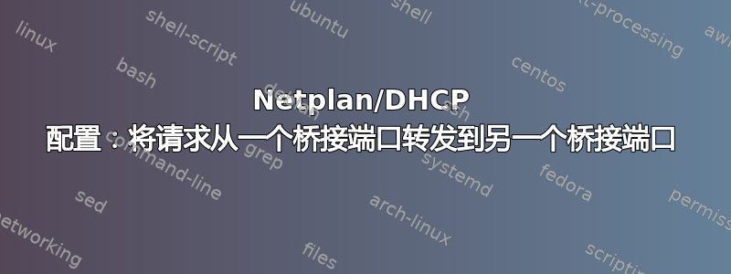 Netplan/DHCP 配置：将请求从一个桥接端口转发到另一个桥接端口