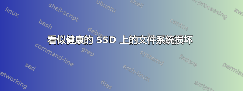 看似健康的 SSD 上的文件系统损坏