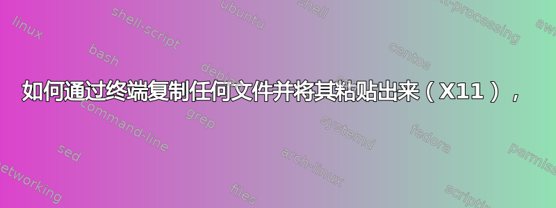 如何通过终端复制任何文件并将其粘贴出来（X11），