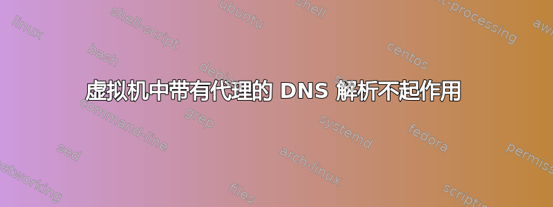 虚拟机中带有代理的 DNS 解析不起作用