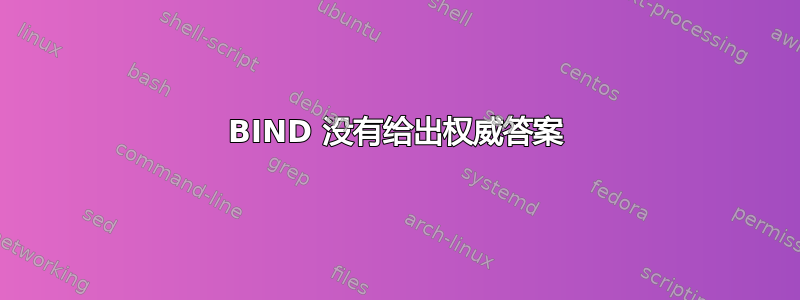 BIND 没有给出权威答案