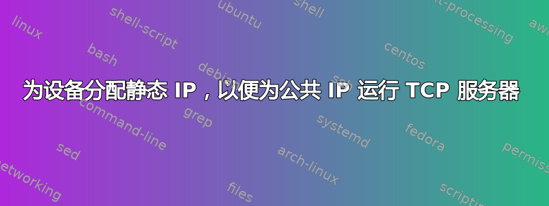 为设备分配静态 IP，以便为公共 IP 运行 TCP 服务器