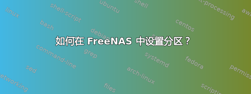 如何在 FreeNAS 中设置分区？