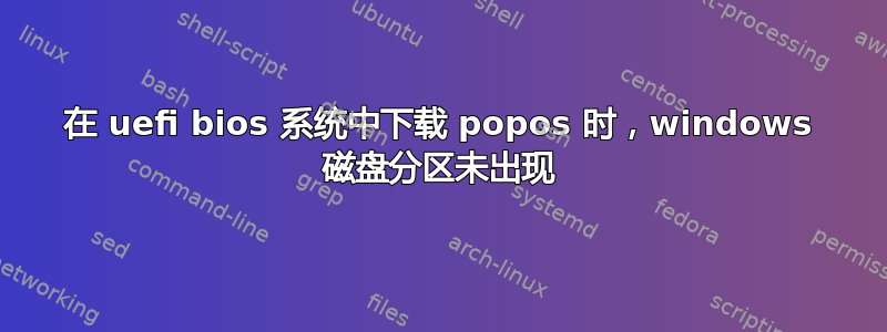 在 uefi bios 系统中下载 popos 时，windows 磁盘分区未出现