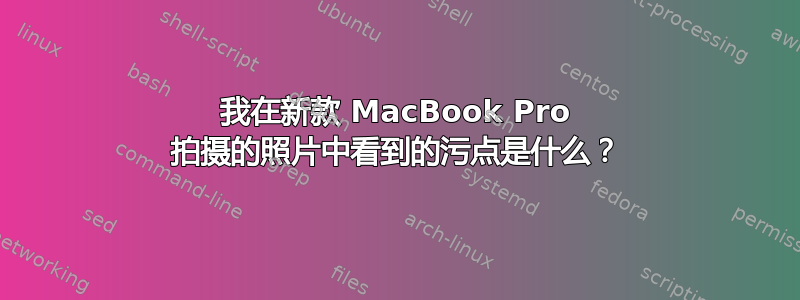 我在新款 MacBook Pro 拍摄的照片中看到的污点是什么？