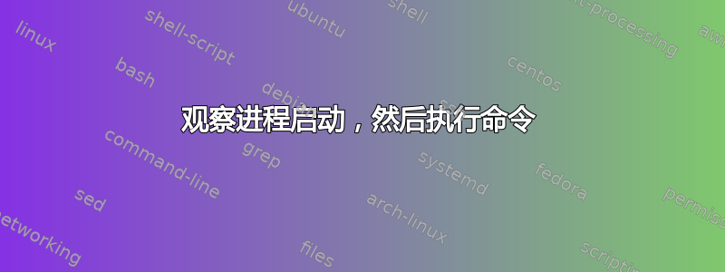 观察进程启动，然后执行命令