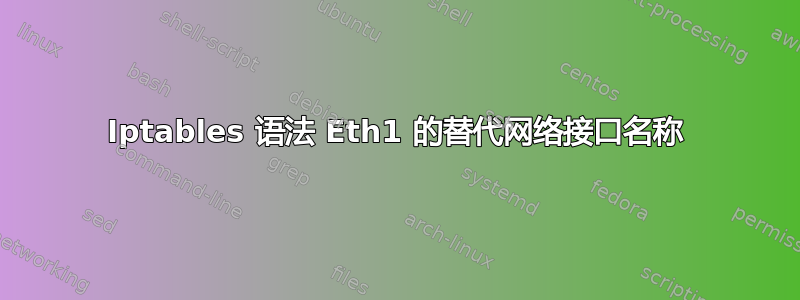 Iptables 语法 Eth1 的替代网络接口名称