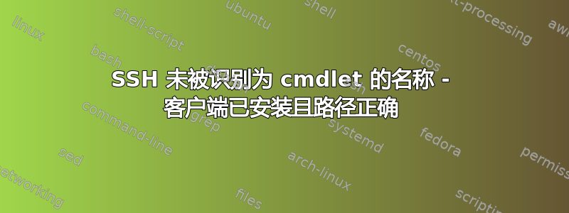 SSH 未被识别为 cmdlet 的名称 - 客户端已安装且路径正确