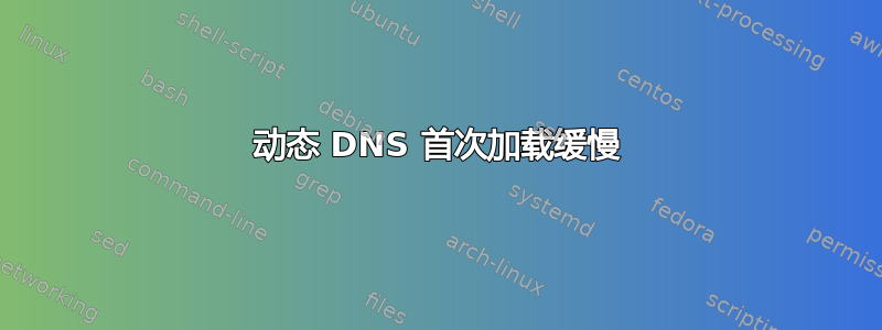 动态 DNS 首次加载缓慢