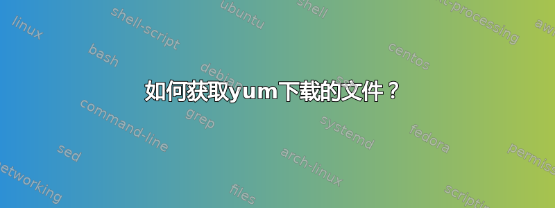 如何获取yum下载的文件？