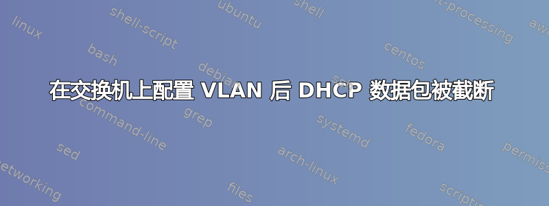 在交换机上配置 VLAN 后 DHCP 数据包被截断