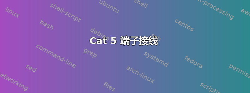 Cat 5 端子接线