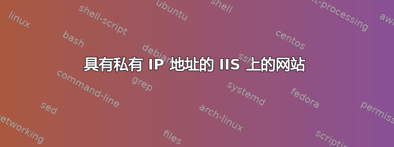 具有私有 IP 地址的 IIS 上的网站