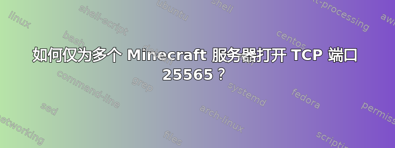 如何仅为多个 Minecraft 服务器打开 TCP 端口 25565？