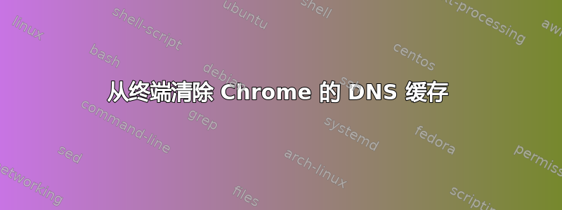 从终端清除 Chrome 的 DNS 缓存