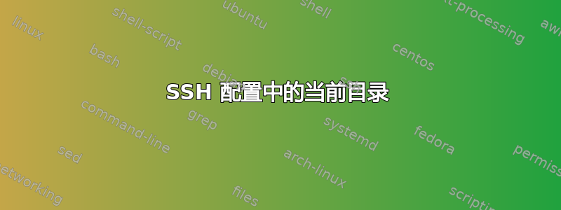 SSH 配置中的当前目录