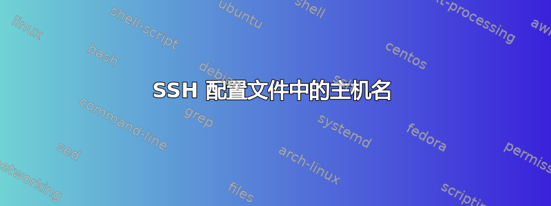 SSH 配置文件中的主机名