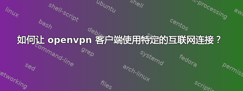 如何让 openvpn 客户端使用特定的互联网连接？