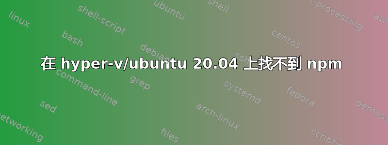 在 hyper-v/ubuntu 20.04 上找不到 npm