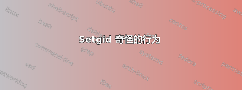 Setgid 奇怪的行为