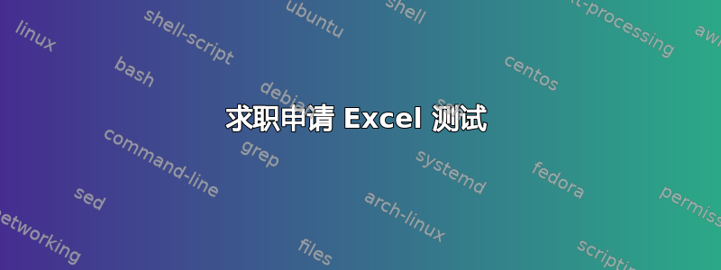 求职申请 Excel 测试