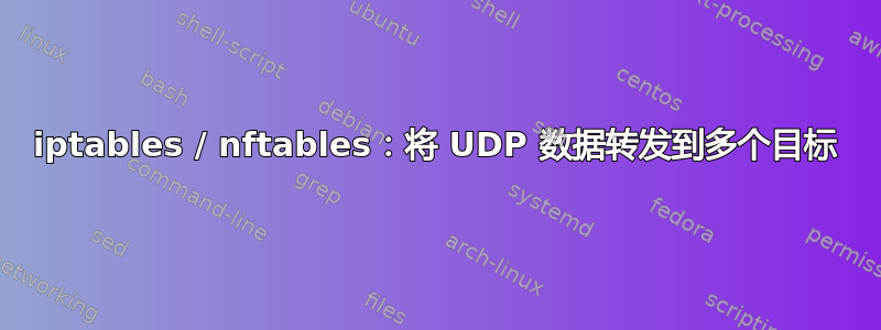 iptables / nftables：将 UDP 数据转发到多个目标