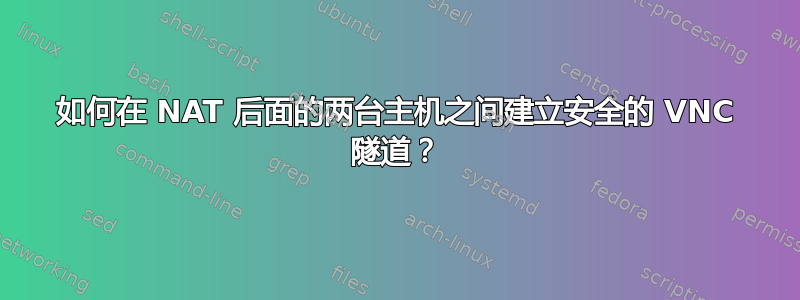 如何在 NAT 后面的两台主机之间建立安全的 VNC 隧道？