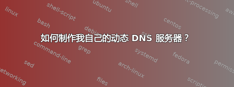 如何制作我自己的动态 DNS 服务器？