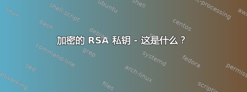 加密的 RSA 私钥 - 这是什么？