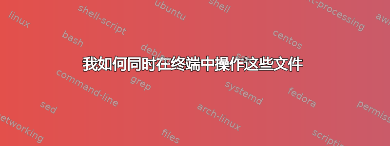 我如何同时在终端中操作这些文件