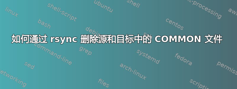 如何通过 rsync 删除源和目标中的 COMMON 文件