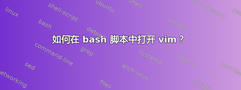 如何在 bash 脚本中打开 vim？