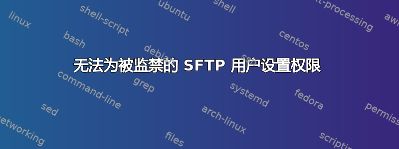 无法为被监禁的 SFTP 用户设置权限