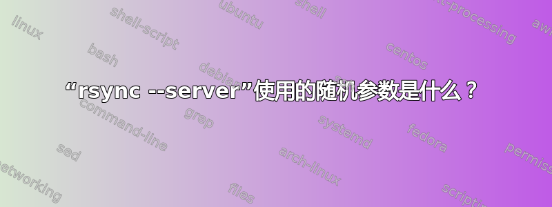 “rsync --server”使用的随机参数是什么？